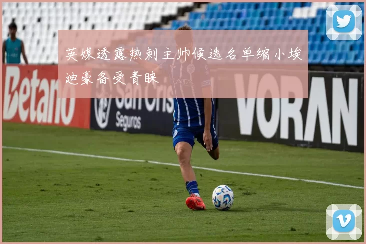 英媒透露热刺主帅候选名单缩小埃迪豪备受青睐