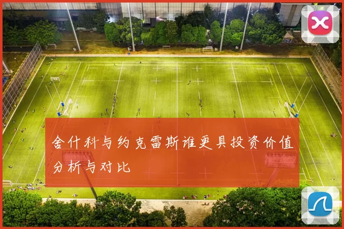 舍什科与约克雷斯谁更具投资价值分析与对比